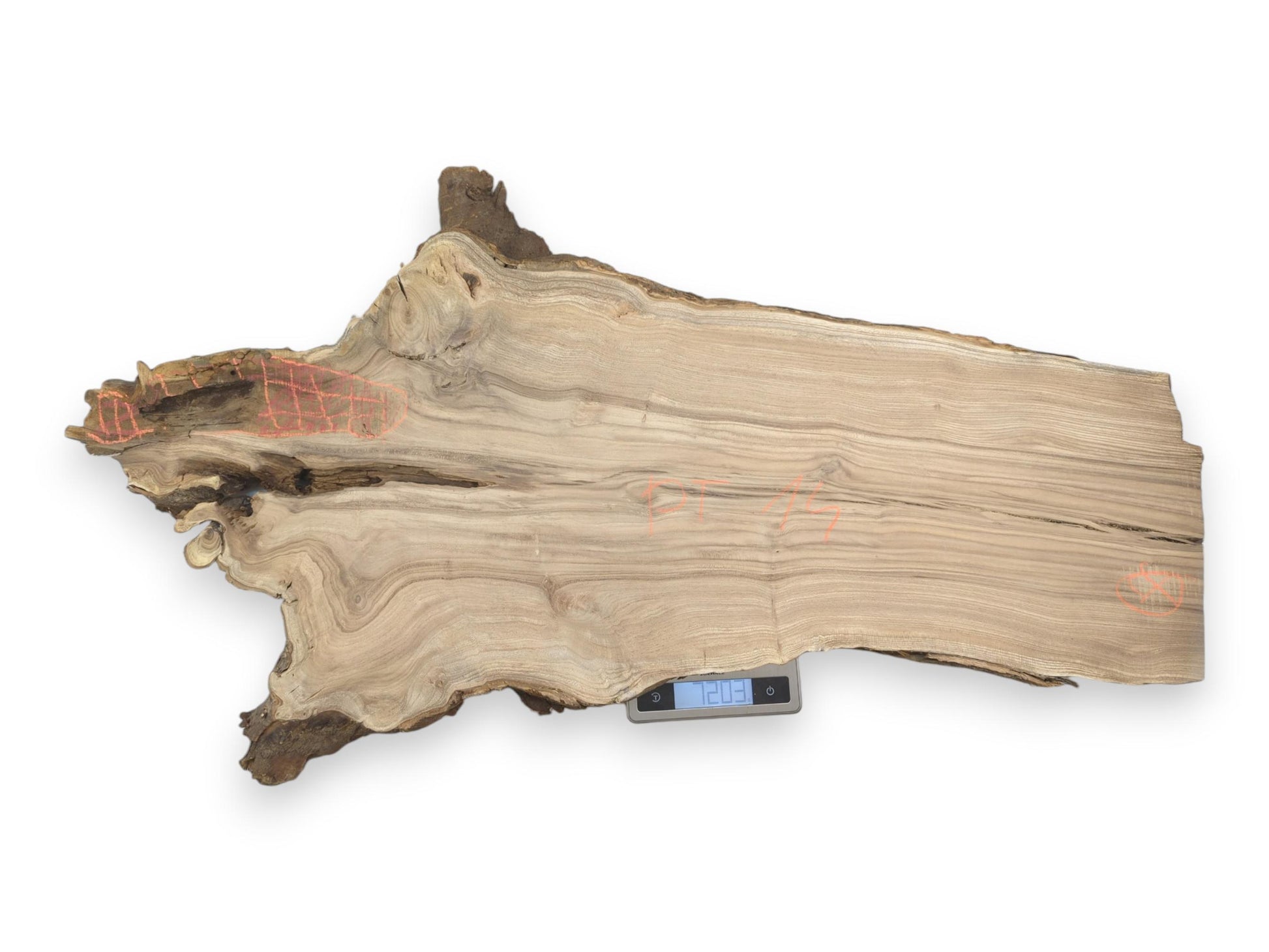 A raw timber slab with a gnarled root end rests on a digital scale.
