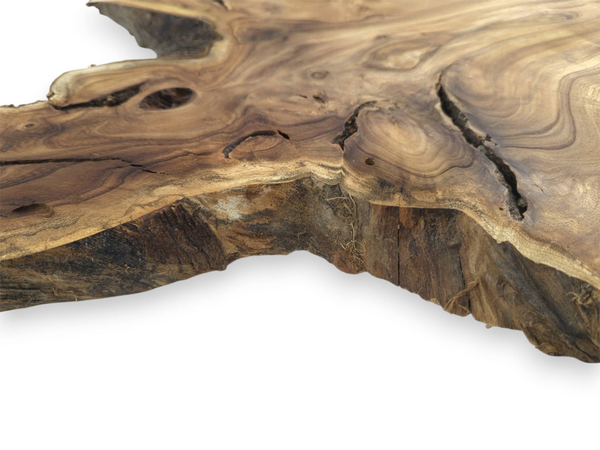 A thick wood section displays dramatic swirling grain, deep cracks, and a rough, fibrous edge.