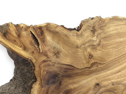 A close-up on a timber section shows sweeping grain, dark figuring, and a rugged rind.