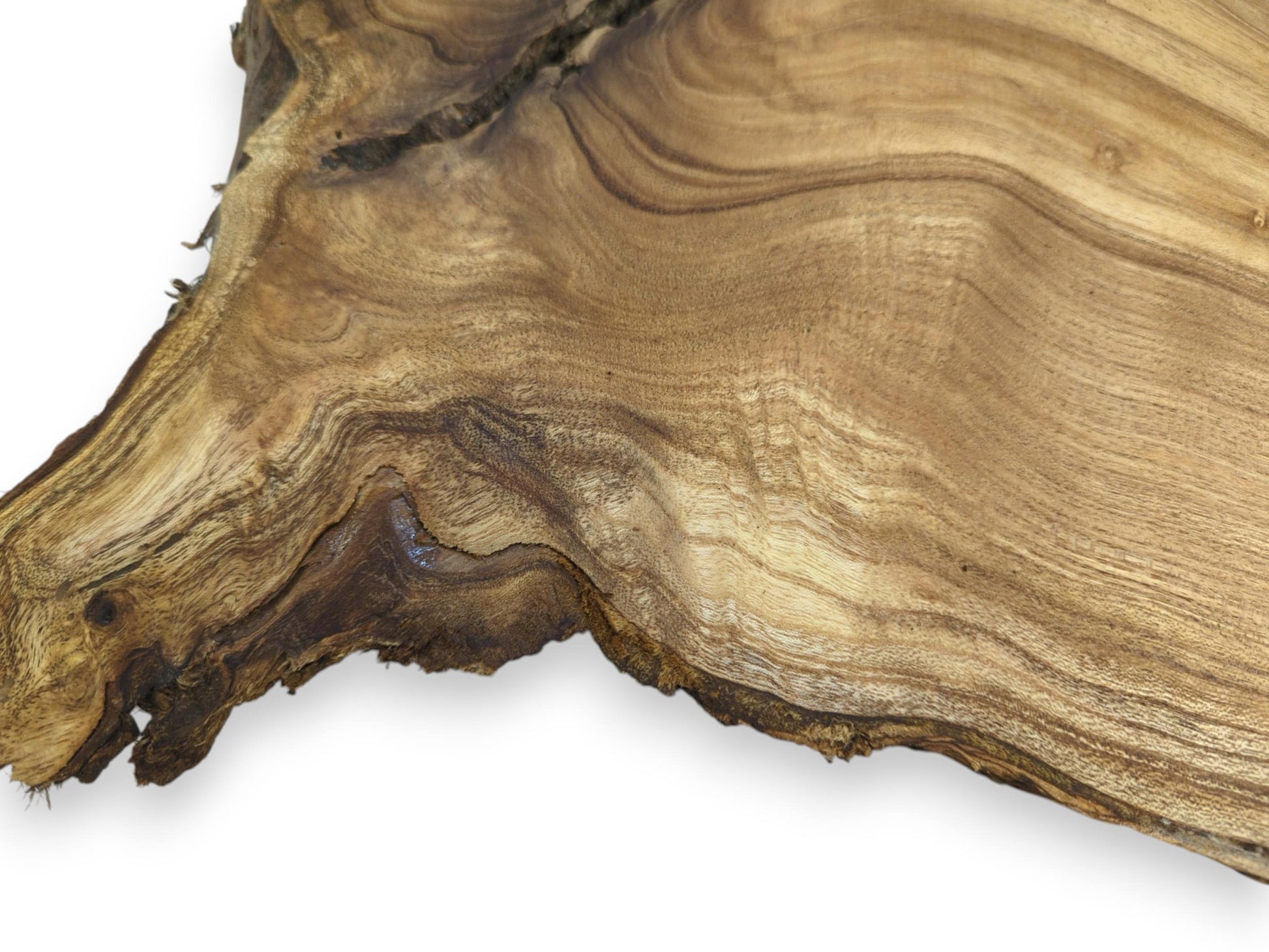 A timber cross-cut shows landscape-like grain flowing into a dark, complex natural edge.