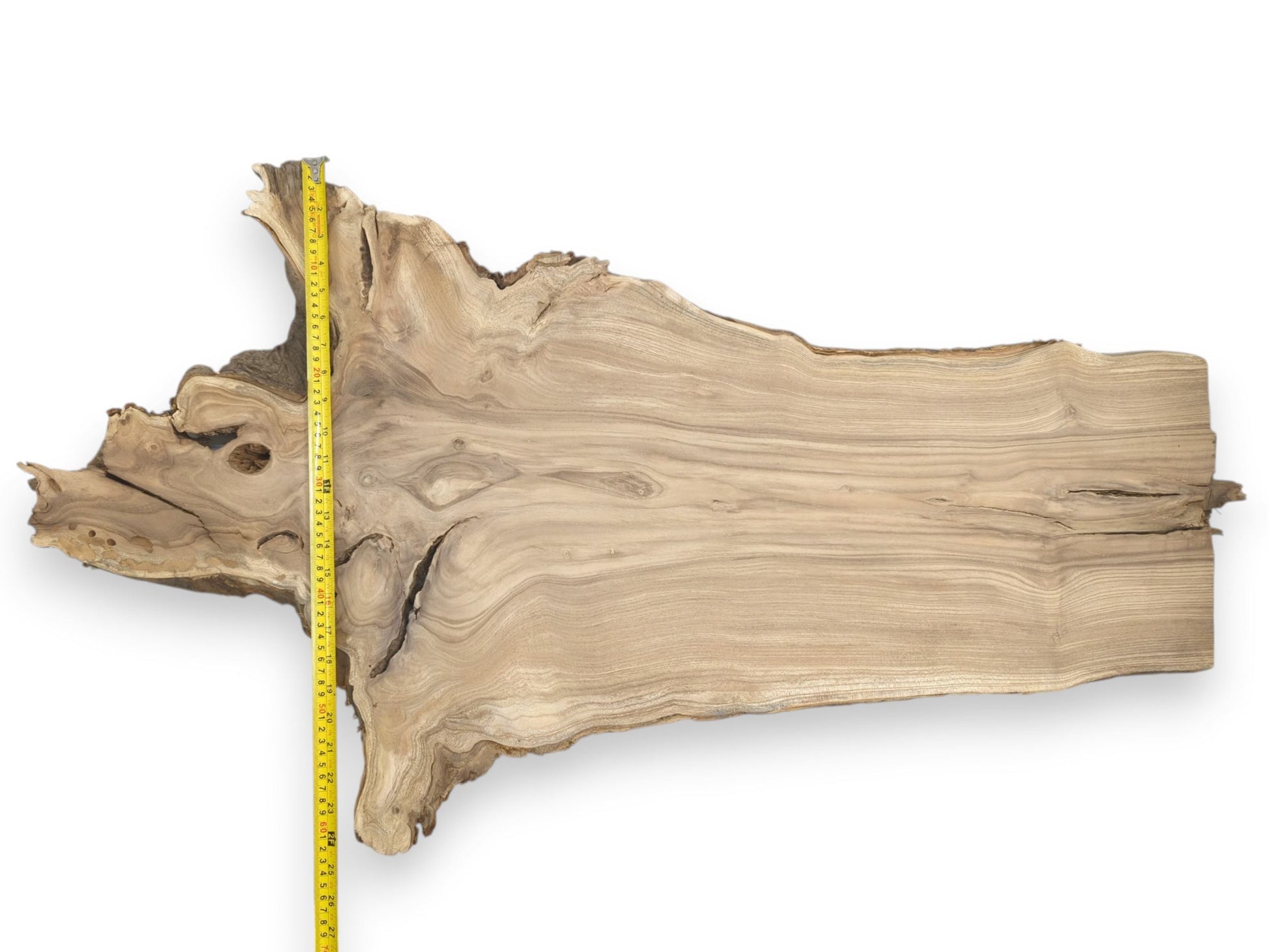 A yellow ruler measures a timber slab's gnarled root end and long, flowing grain.