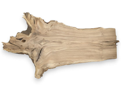 An irregularly shaped timber slab features a complex, hollowed burl and smooth, linear grain.