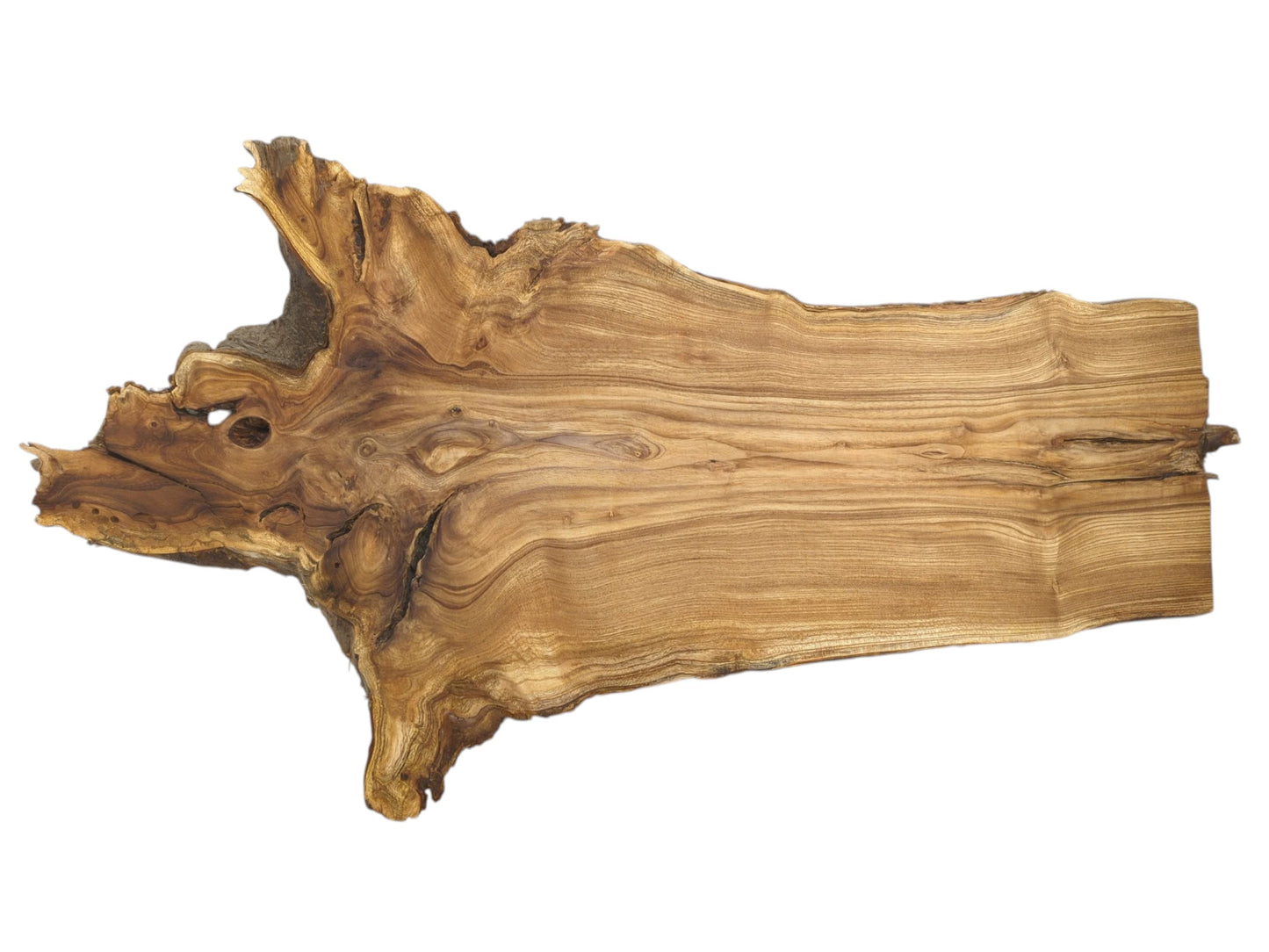 A polished wood slab features an intricate, gnarled end with a void and linear grain.