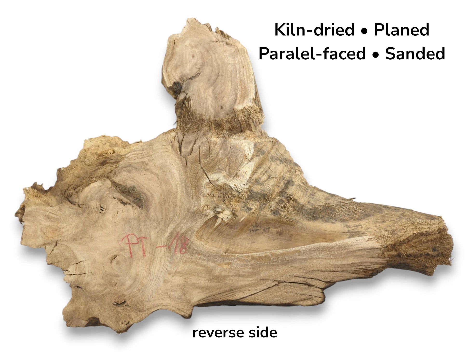 A pale, irregular timber section reveals contoured grain, dark streaks, and a fibrous live edge.