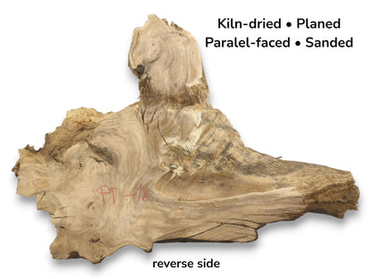 A pale, irregular timber section reveals contoured grain, dark streaks, and a fibrous live edge.