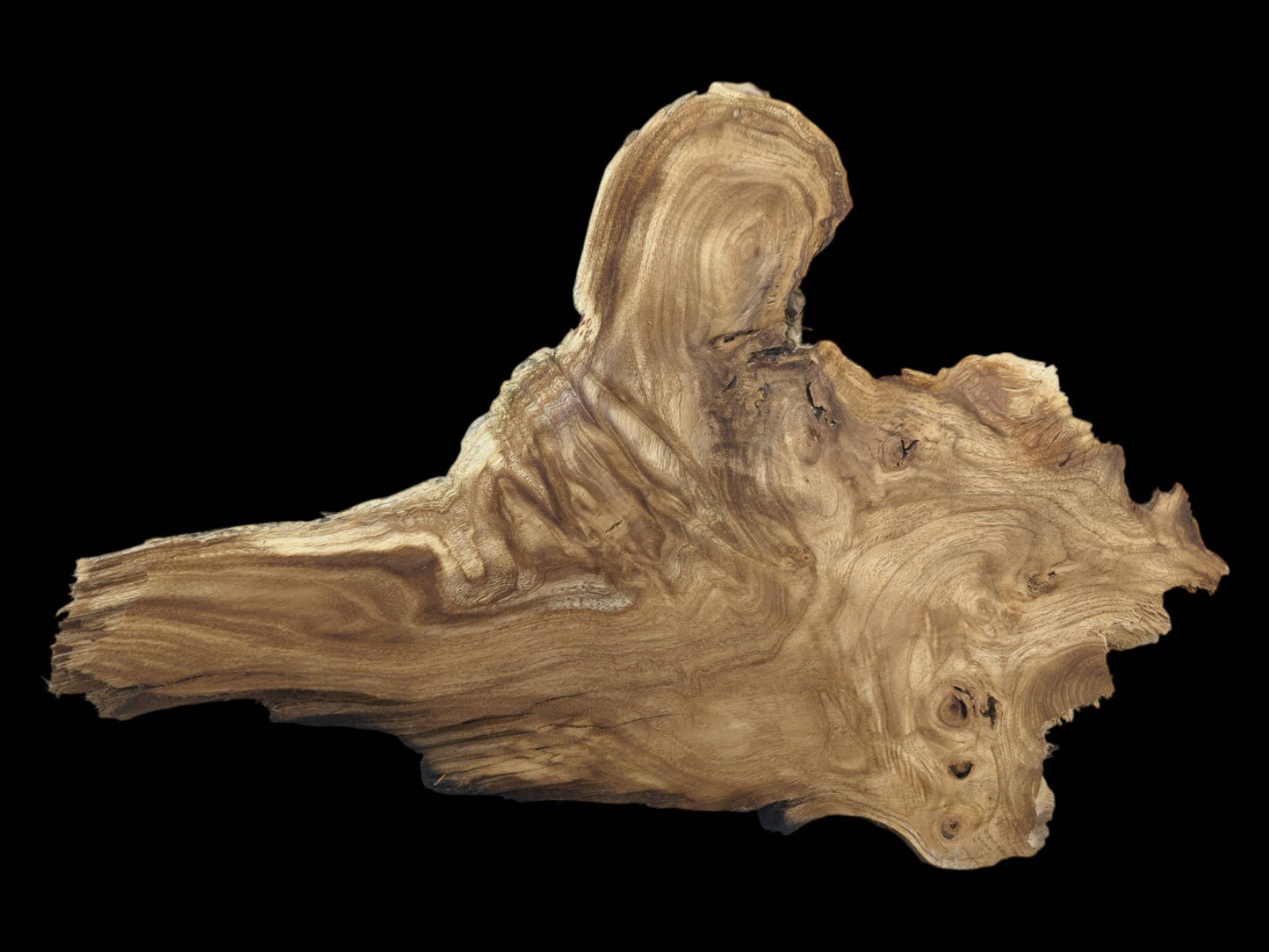 An organic-shaped timber slab displays sweeping grain patterns, dark streaks, and several small knots.