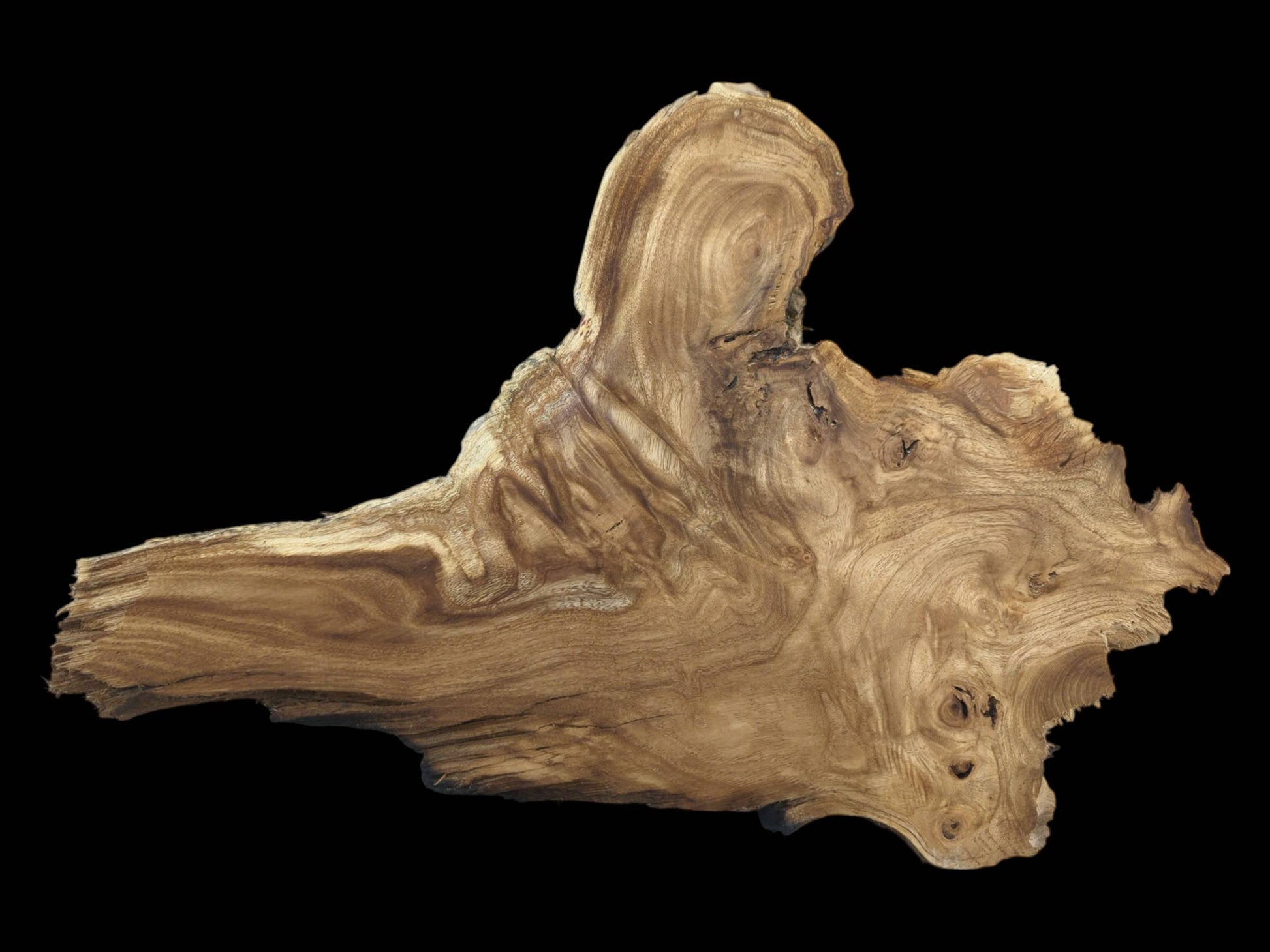An organic-shaped timber slab displays sweeping grain patterns, dark streaks, and several small knots.
