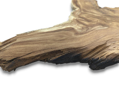 A raw wood slab seen from a low angle shows rippling grain and a charred, splintering border.