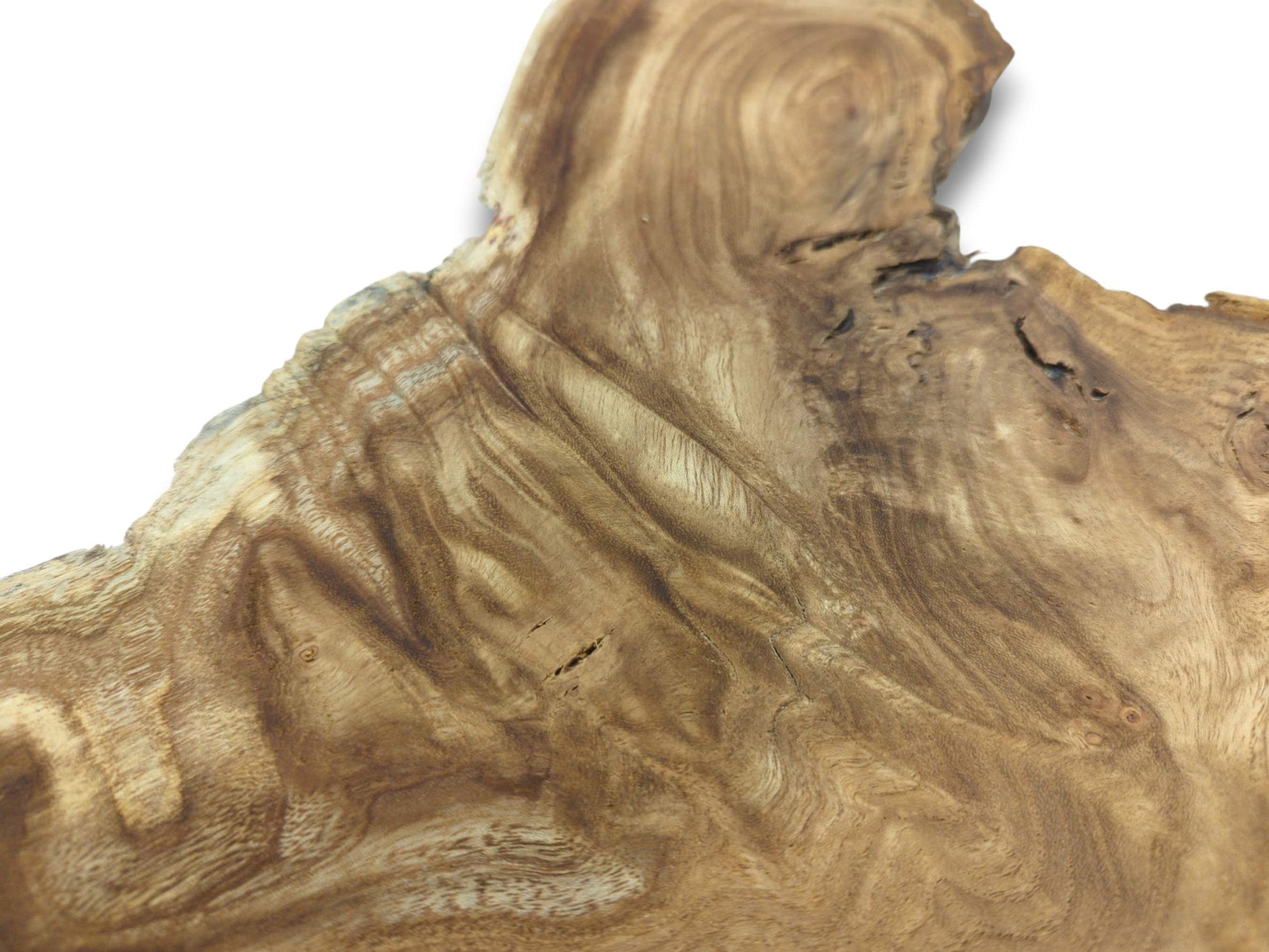A close view of a timber section highlights its turbulent, flowing grain and jagged perimeter.
