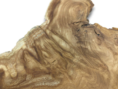 A close view of a timber section highlights its turbulent, flowing grain and jagged perimeter.