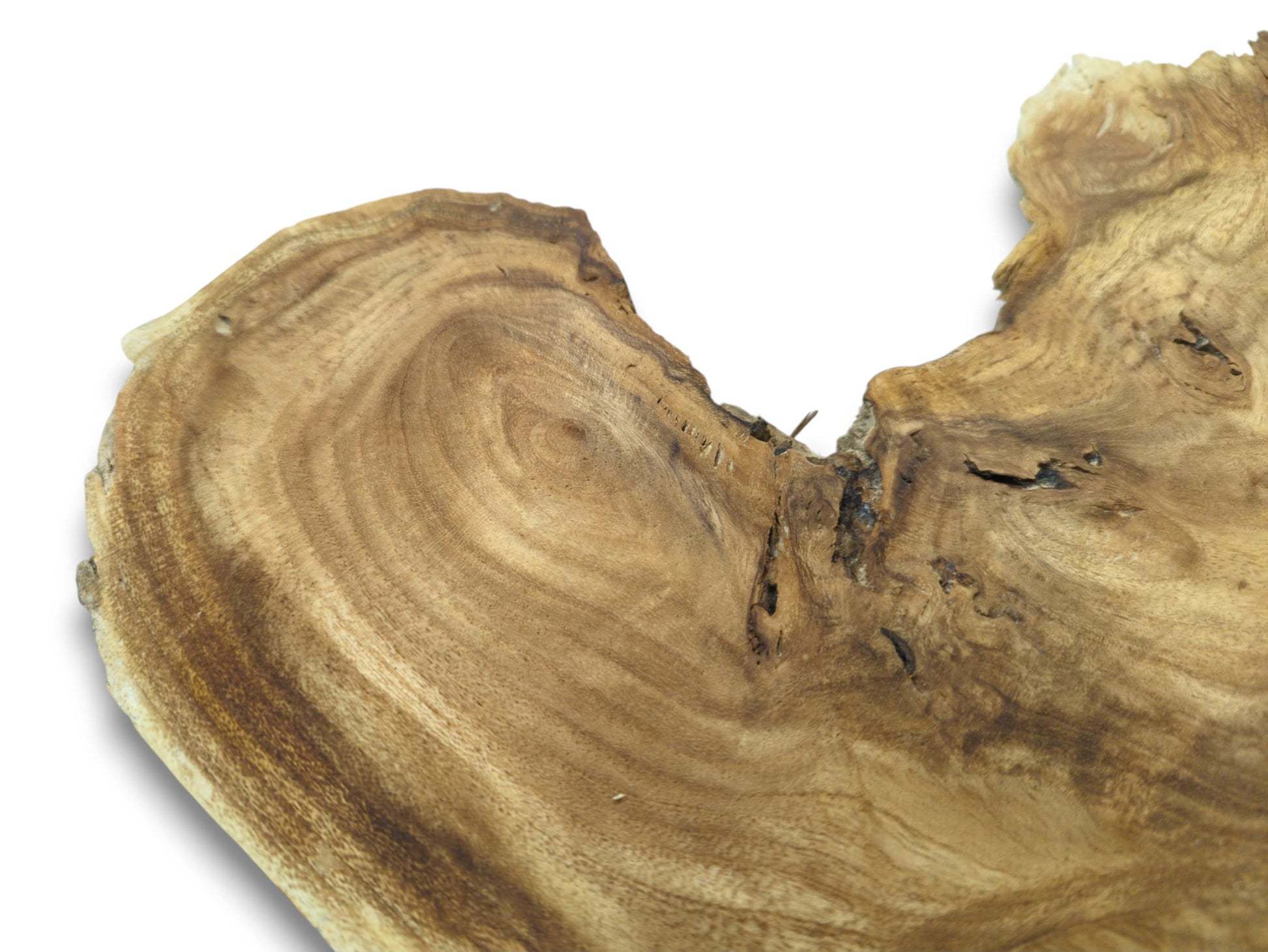 An angled view of a timber cutting reveals a swirling grain vortex and a fissured edge.