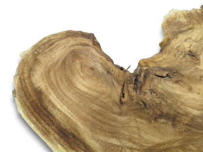 An angled view of a timber cutting reveals a swirling grain vortex and a fissured edge.