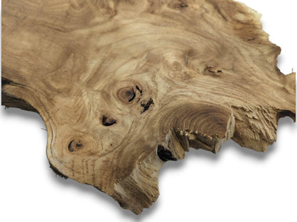 Contoured grain flows around several dark, hollowed knots on a timber slab with a fractured edge.