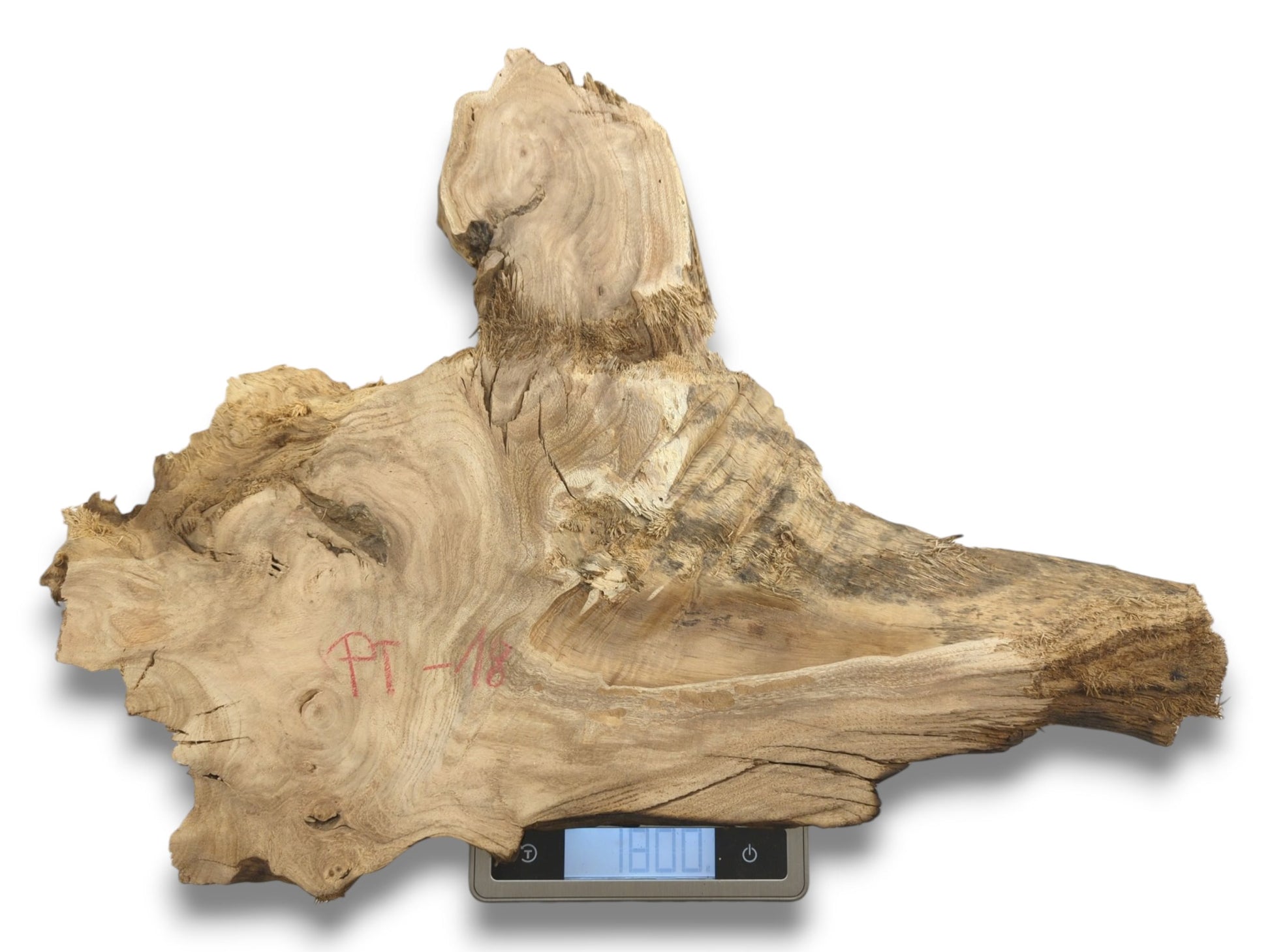 A raw timber slab with red writing and a fibrous edge is weighed on a scale.