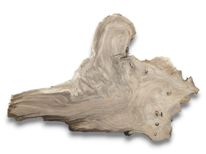 A light-toned, asymmetrical wood piece shows contoured grain, several voids, and a rough edge.