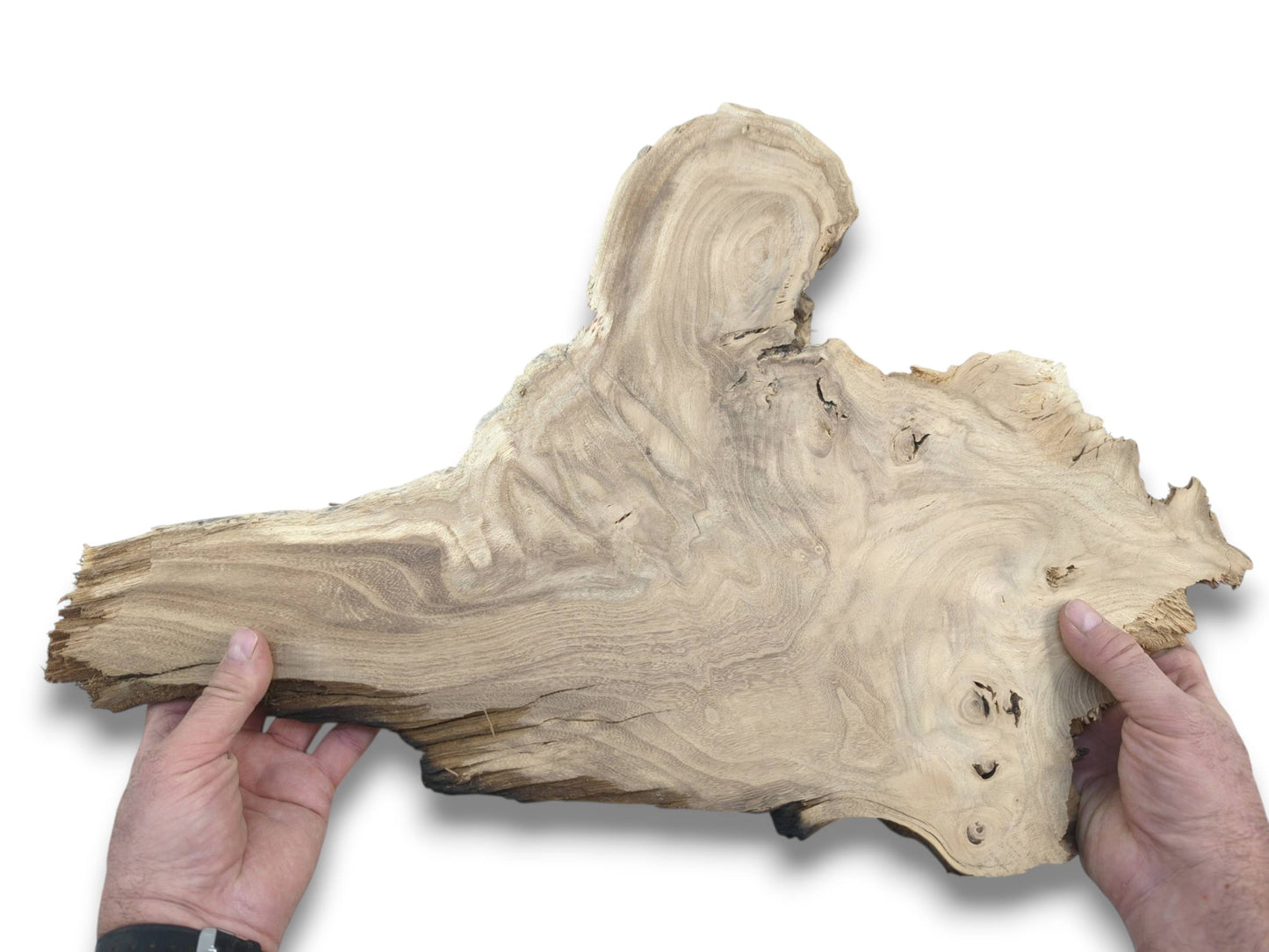 A long, pale timber piece held by two hands reveals undulating grain and a splintered edge.