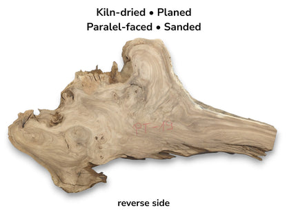 A pale, irregular timber section reveals swirling grain, small knots, and a splintered top edge.