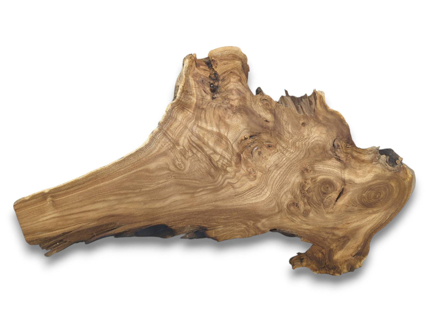 An asymmetrical hardwood slab displays complex, contoured grain patterns and a rugged, gnarled live edge.