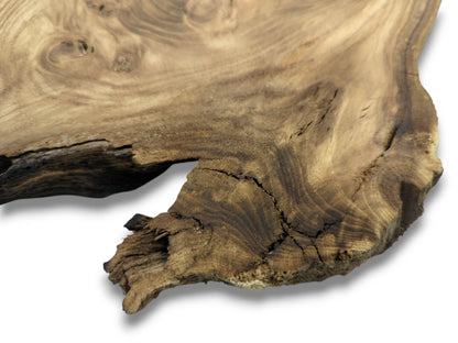 A dark, fissured edge on a raw timber slab contrasts with its smooth, flowing grain.