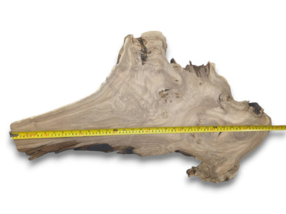 A yellow measuring tape spans an arrow-shaped hardwood plank, showing its linear grain and knots.