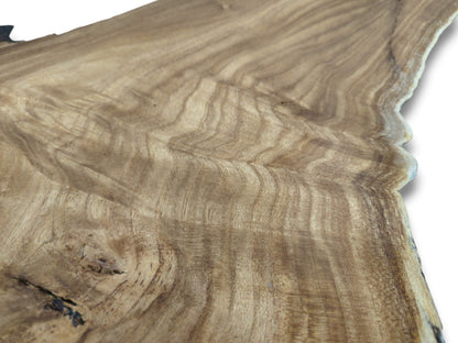 An angled view across a hardwood plank reveals its undulating grain and a single dark knot.