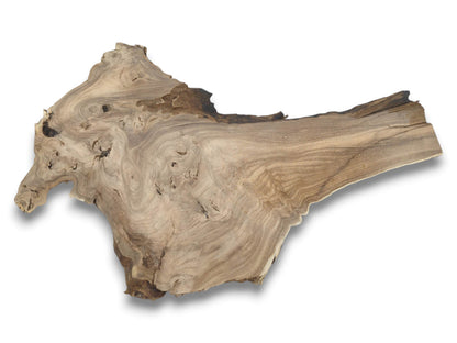 A raw lumber piece displays a knotty burl formation flowing into a smooth, tapering end.