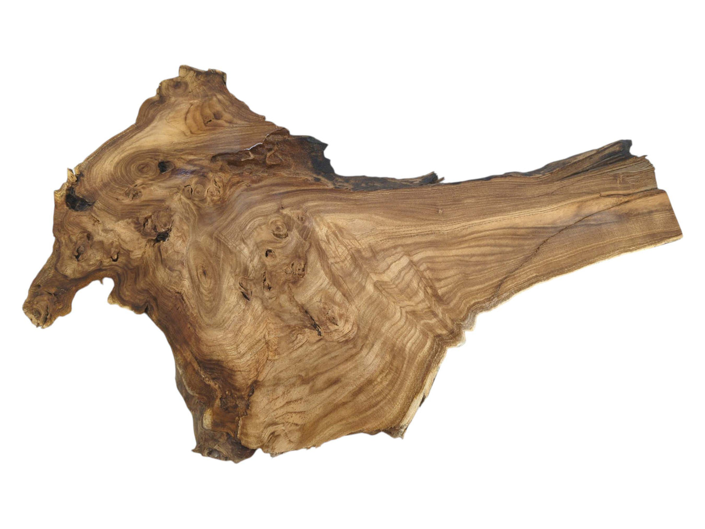 A raw timber section has a complex burl opposite a wide, smoothly grained fan.