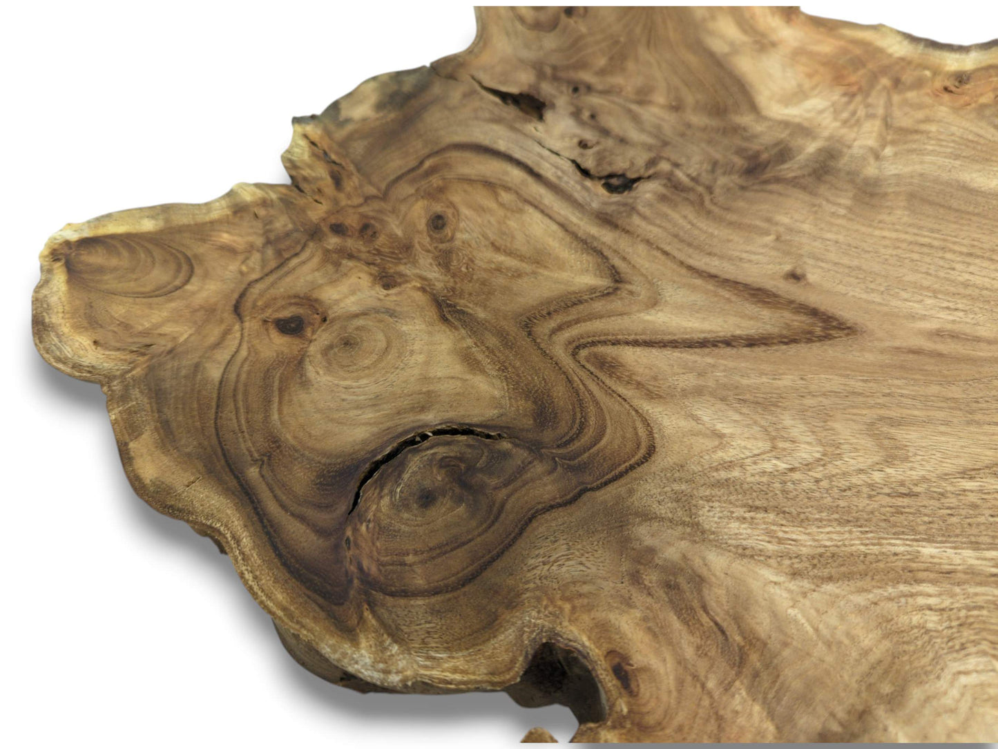 A polished timber slice shows a cracked, swirling burl next to sharply angled grain lines.
