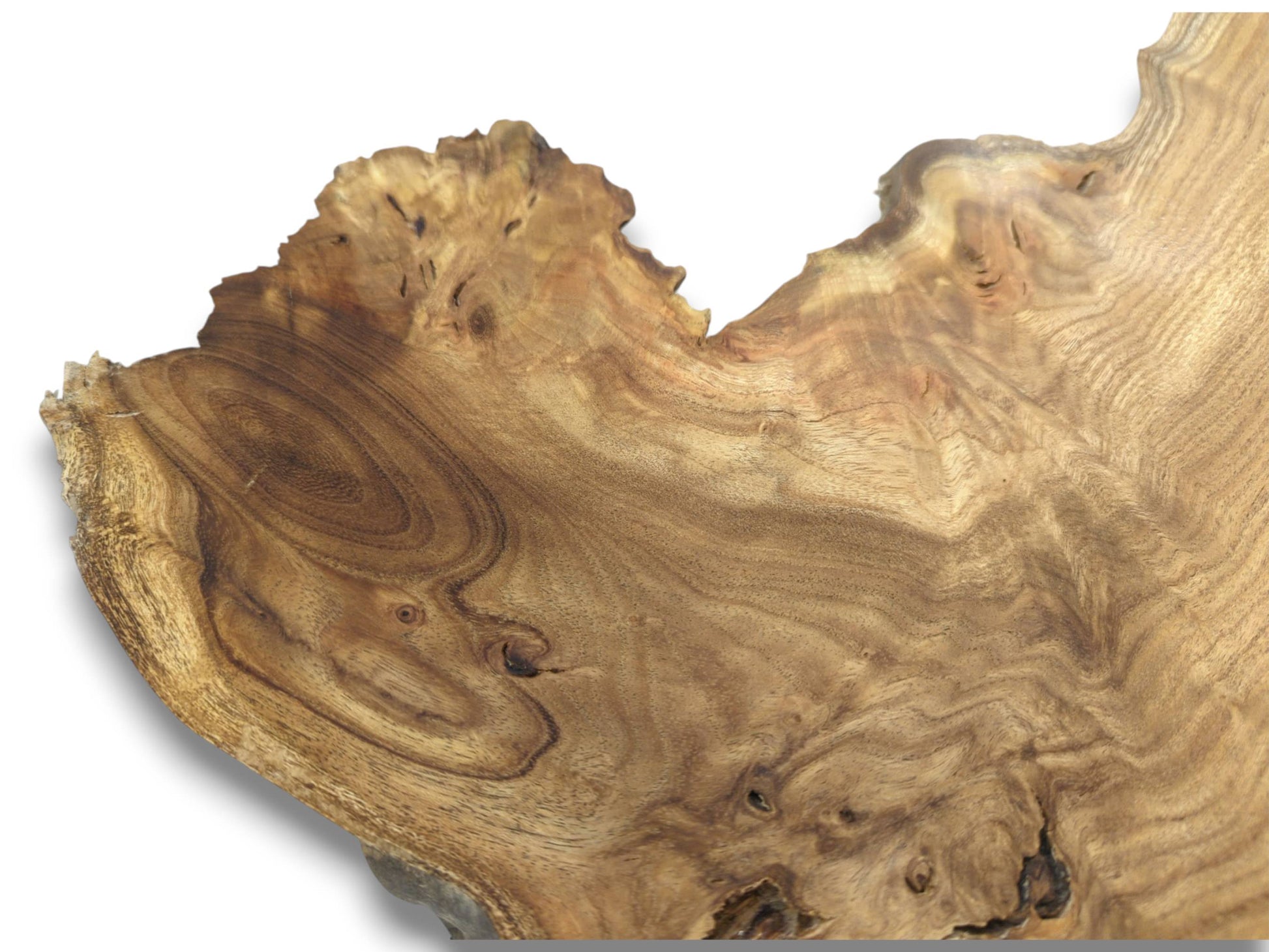 A close-up on a timber slab reveals flowing grain, several small knots, and a jagged edge.
