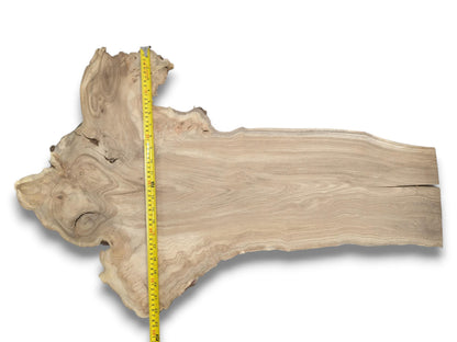 A yellow tape measure follows the live edge of a timber slab with burl.