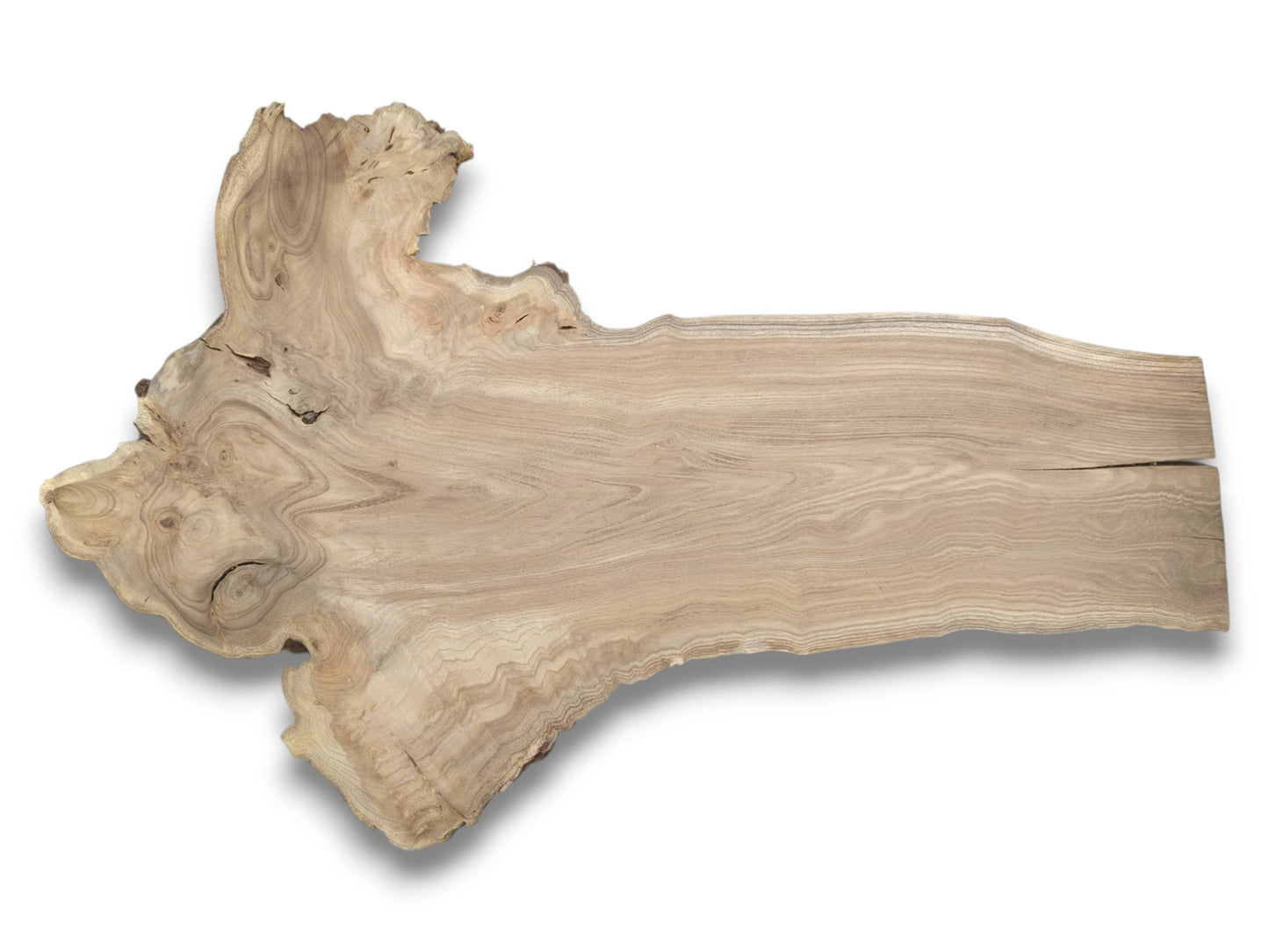 Shot from above, a raw timber slab features a large burl and a split end.
