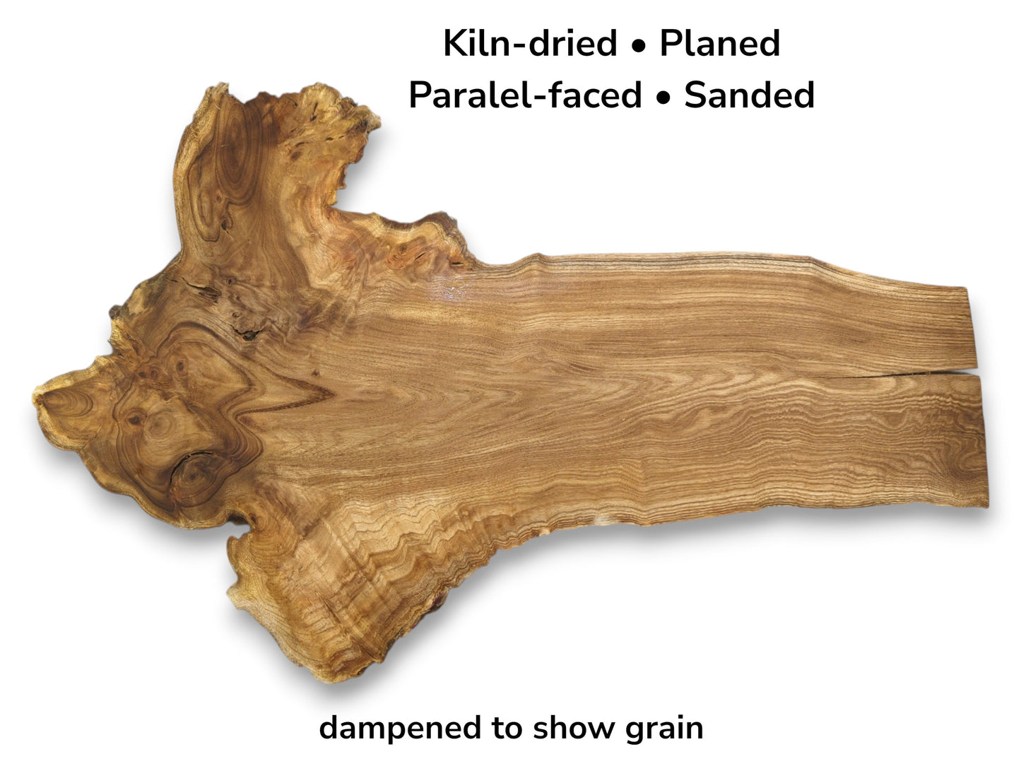 A long, dampened timber plank features a gnarled, burled end with swirling grain patterns.
