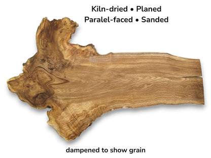 A long, dampened timber plank features a gnarled, burled end with swirling grain patterns.