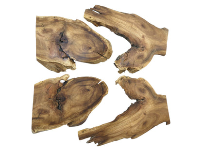 Four irregularly shaped Japanese Pagoda Tree root wood slices with visible cracks and natural grain.