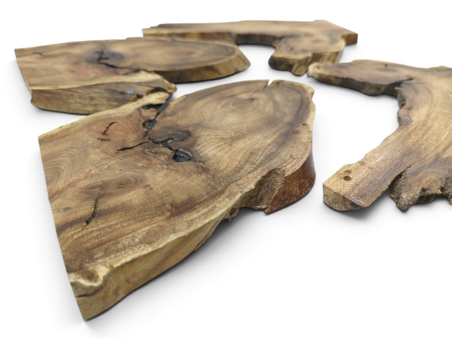 Four light brown Japanese Pagoda Tree root wood slices with natural live edges and visible cracks.