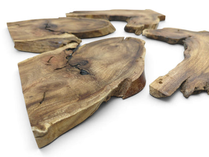 Four light brown Japanese Pagoda Tree root wood slices with natural live edges and visible cracks.