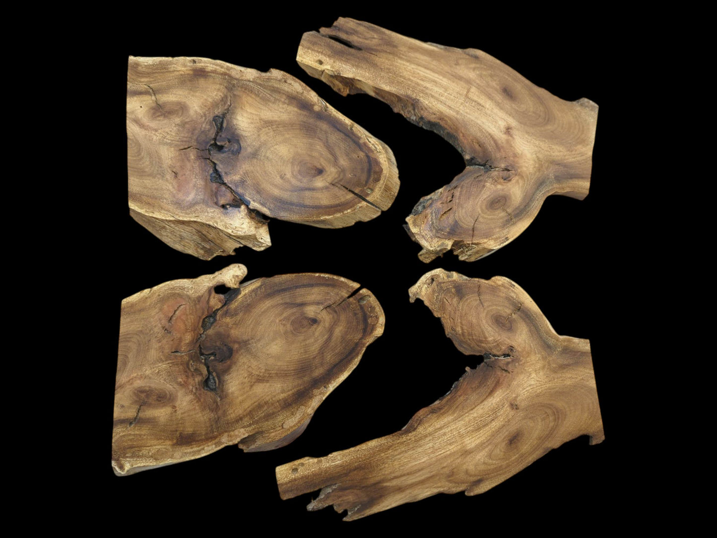 Four Japanese Pagoda Tree root wood slices with natural live edges and visible cracks.