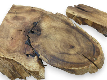 Two Japanese Pagoda Tree root wood slices with natural live edges and deep cracks.