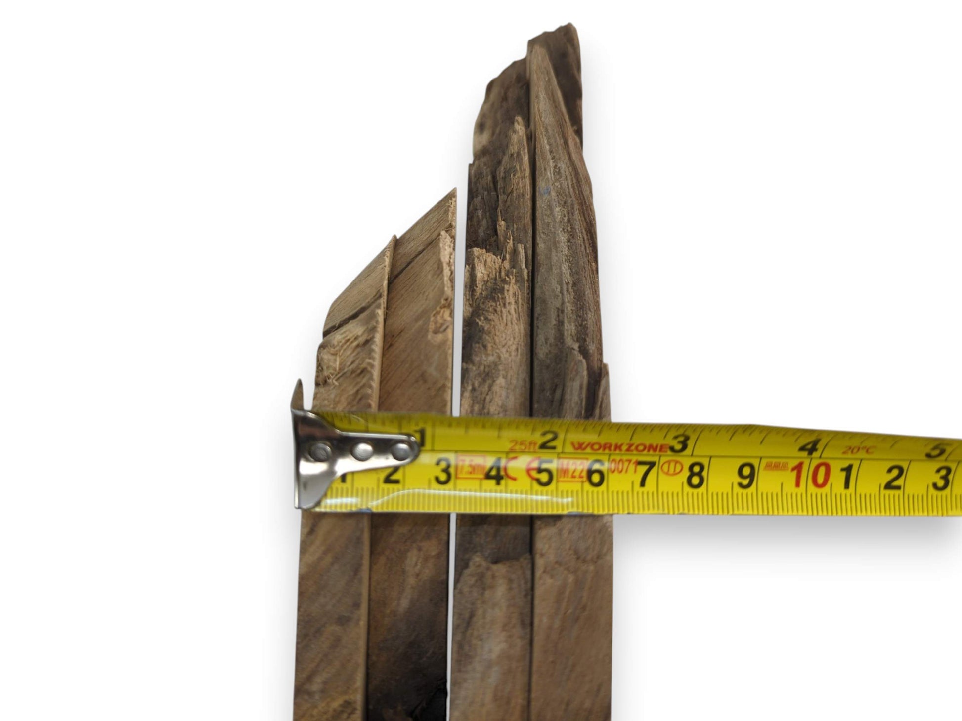 A yellow measuring tape across multiple light brown Japanese Pagoda Tree root wood slices.