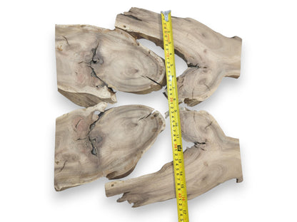 Four light brown Japanese Pagoda Tree root wood slices with natural live edges and cracks.