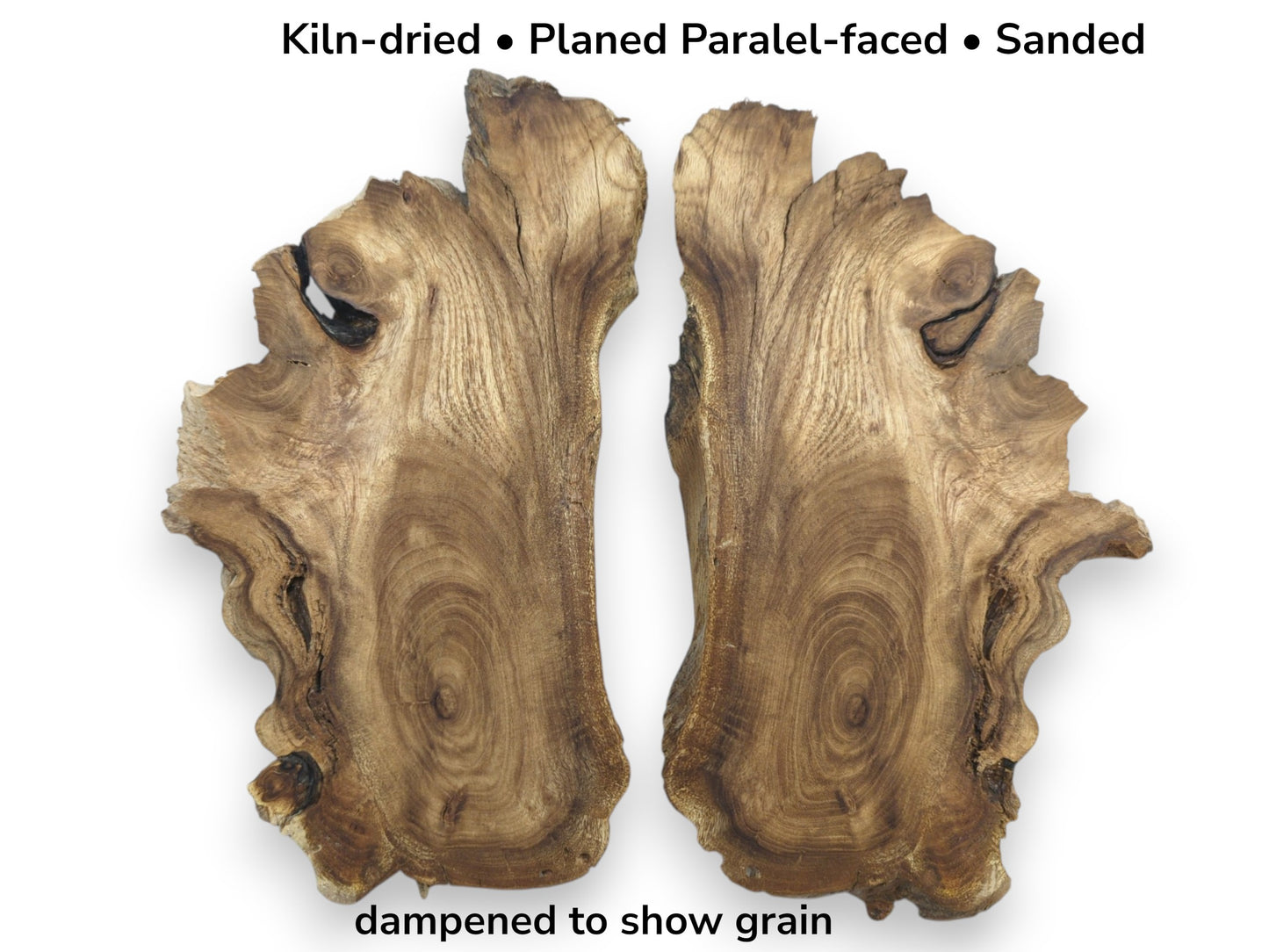 Two bookmatched Japanese Pagoda Tree root slices, kiln-dried, planed, and sanded, showing grain.