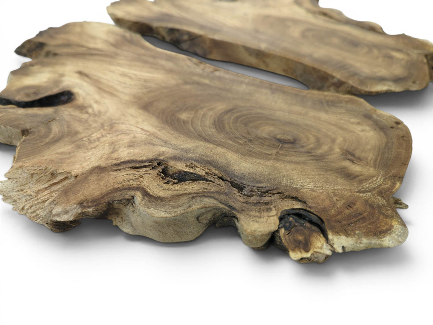 Two bookmatched Japanese Pagoda Tree root slices with natural edges and prominent wood grain.