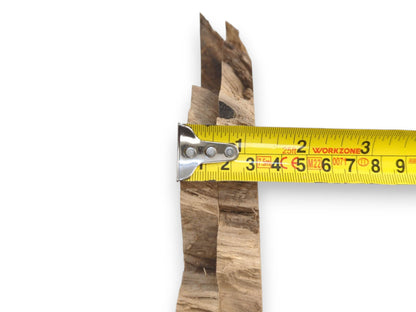 Two bookmatched Japanese Pagoda Tree root slices with a measuring tape showing their width.