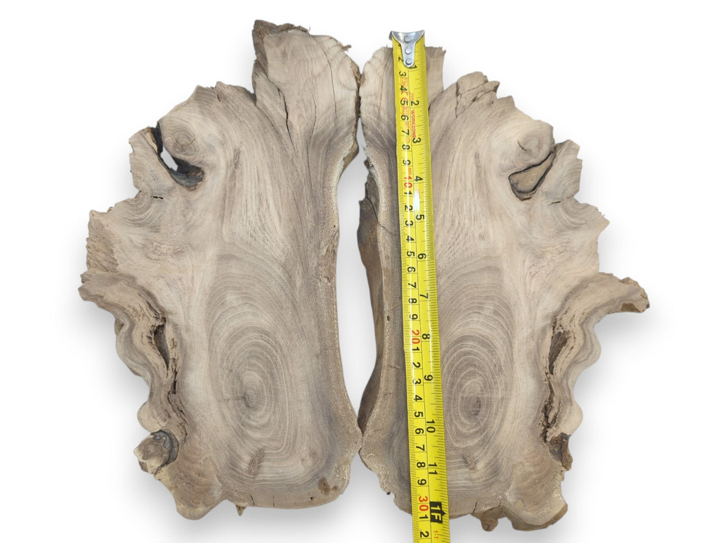 Two bookmatched Japanese Pagoda Tree root slices with swirling grain and live edges.
