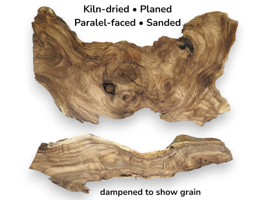 Two live edge Japanese Pagoda tree root slices, one above the other, showing rich grain.