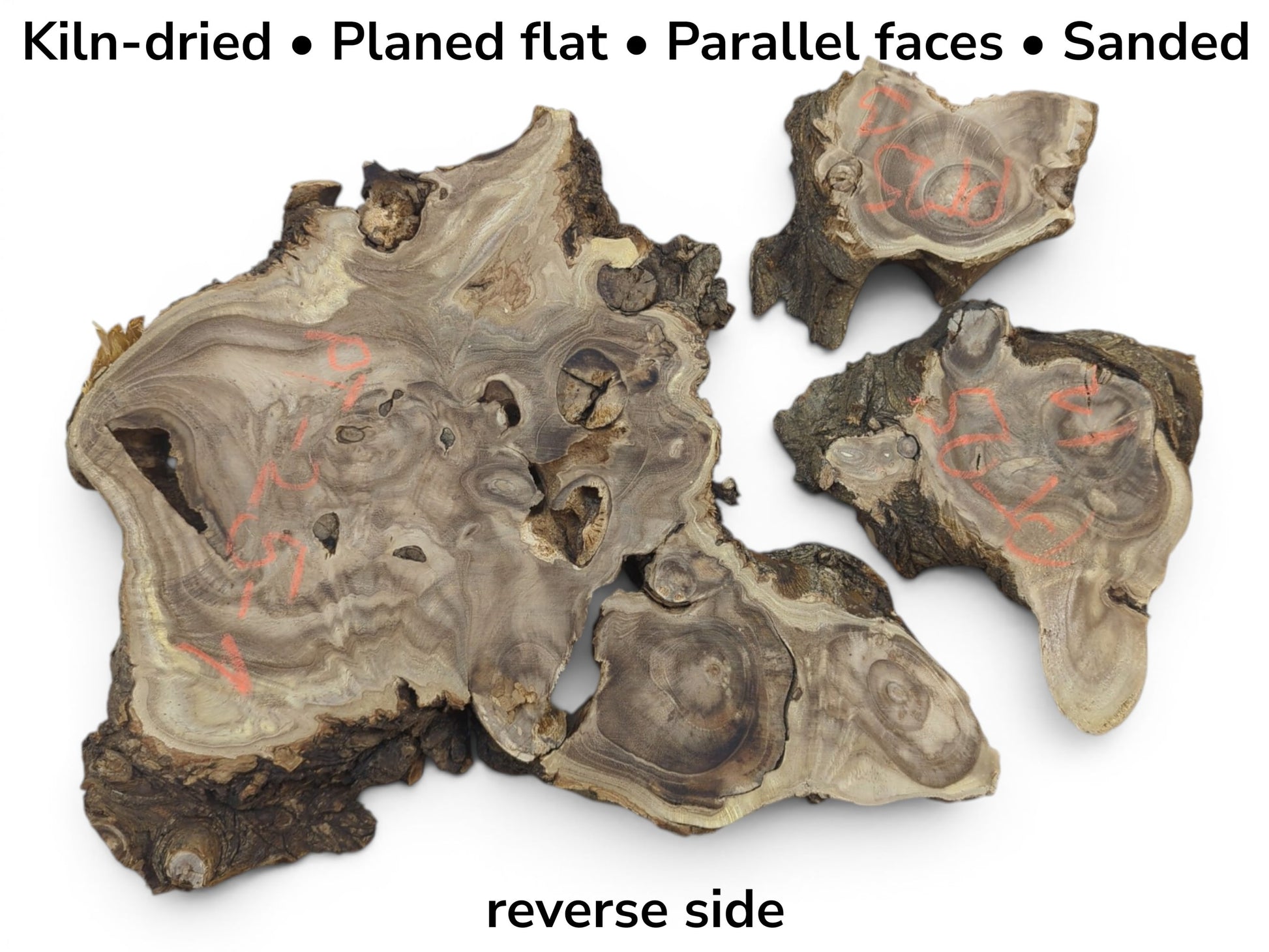 Three kiln-dried, planed, sanded Japanese Pagoda Tree wood slices with parallel faces, reverse side up.