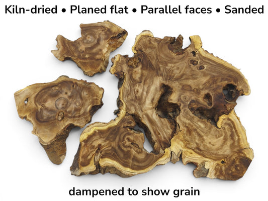 Four kiln-dried, planed, sanded Japanese Pagoda Tree wood slices with parallel faces and intricate grain.