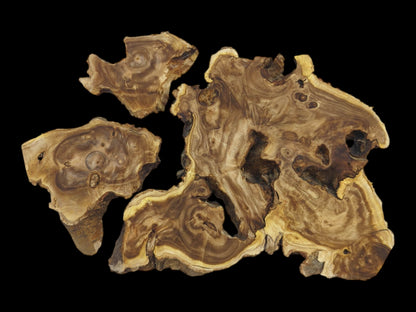 Four raw Japanese Pagoda Tree wood slices with natural edges and intricate grain patterns.