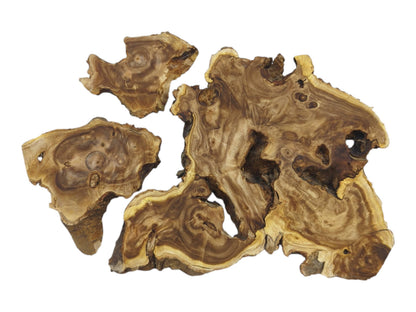 Four raw Japanese Pagoda Tree wood slices with natural edges and intricate grain patterns.