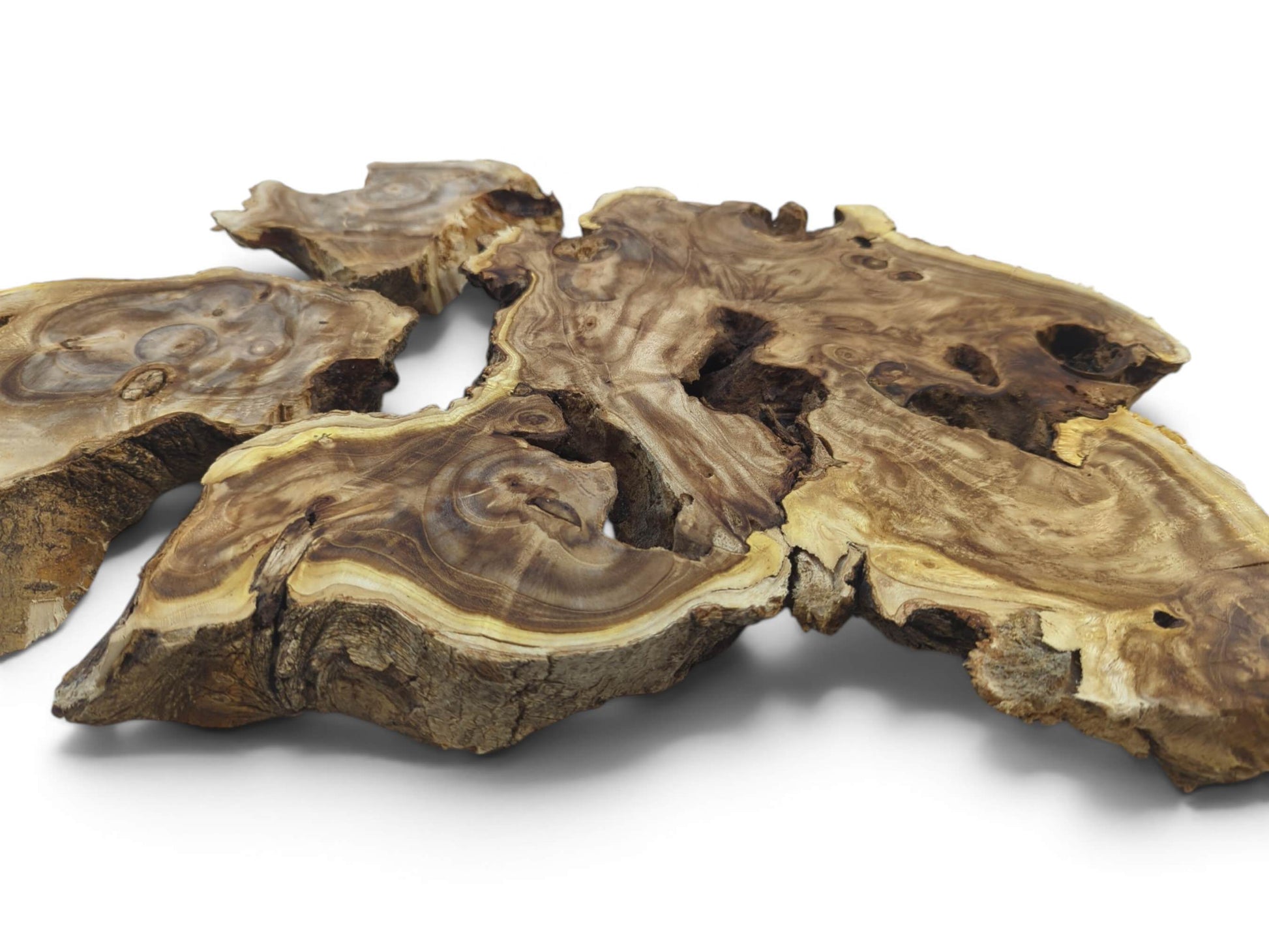Four raw Japanese Pagoda Tree wood slices with natural edges and intricate grain patterns.